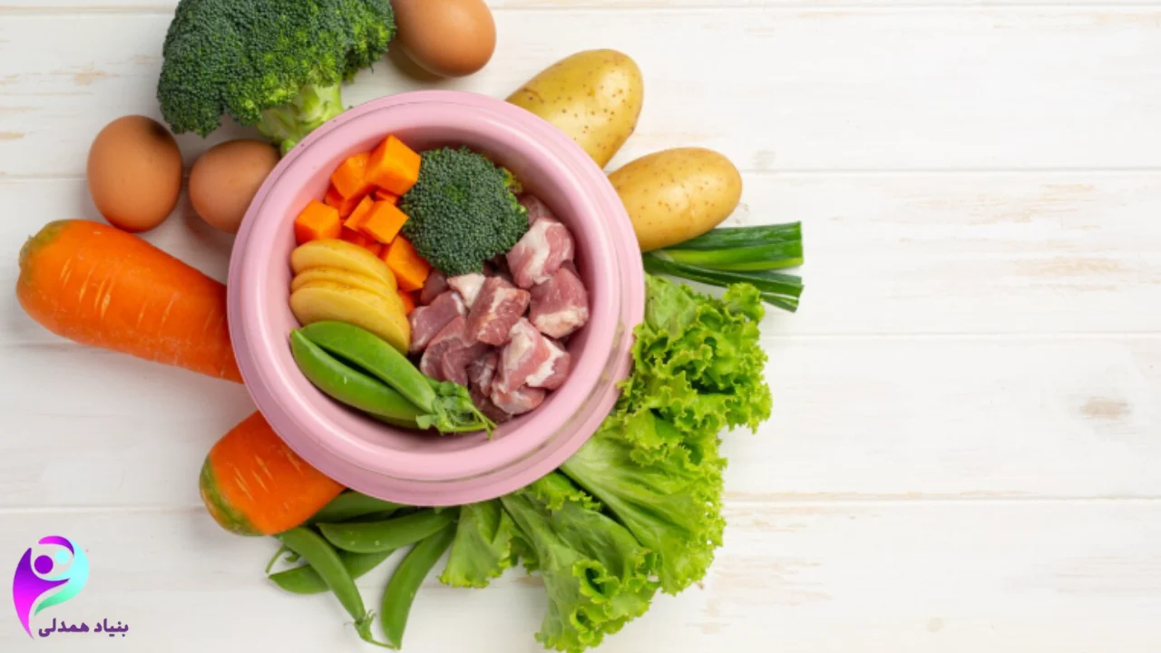 بهترین غذاها برای بیماران مبتلا به سرطان روده