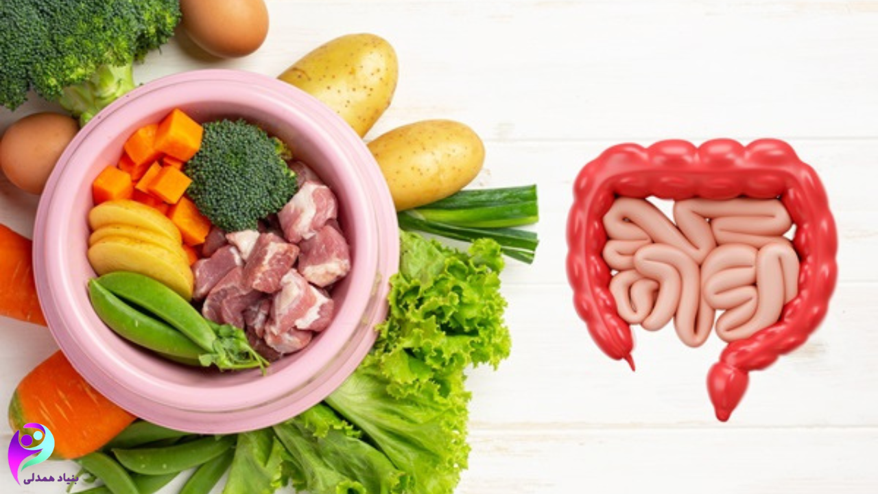 نقش فیبر در کاهش خطر سرطان کولون