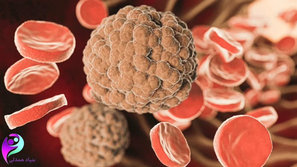 گلبول های خون