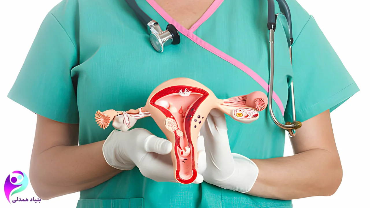 یک پرستار و ماکت رحم