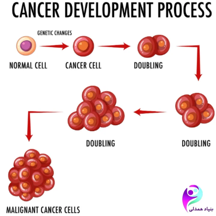 غذای سلولهای سرطانی چیست