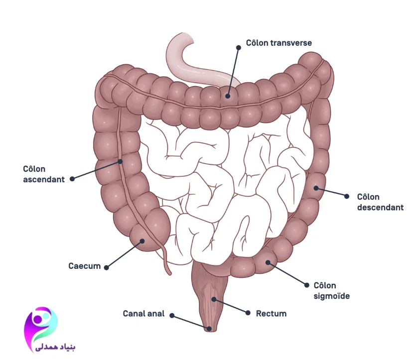 روش‌های تشخیص سرطان کولورکتال